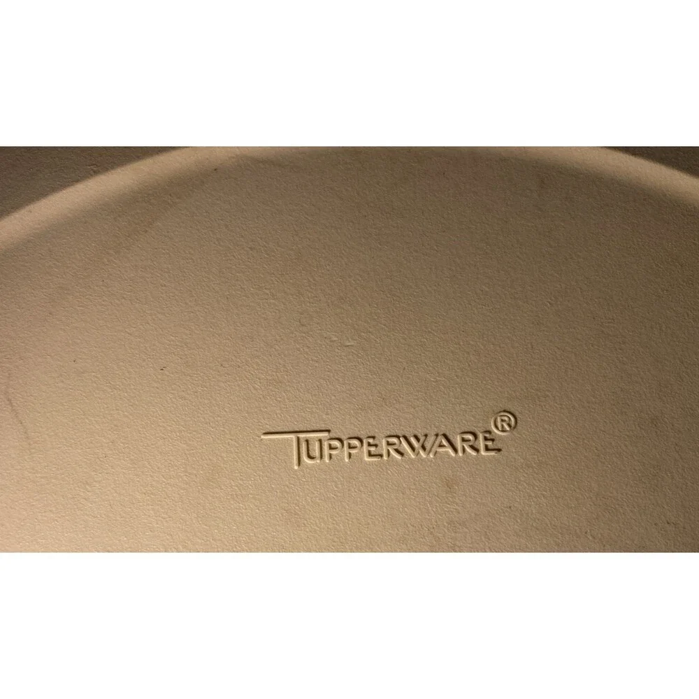 Vintage Tupperware Divided Party Tray Veggie Relish Fruit Dip Bowl 1666-1 1665-1